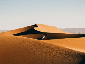 Marruecos. Un viaje exclusivo de mujeres