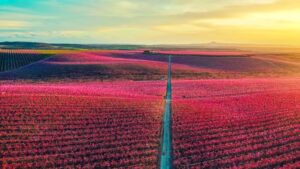 Viajar_por_España