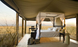 Namibia por Tierra, Mar y Aire