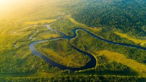La Selva de Perú