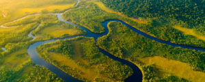La selva del Amazonas