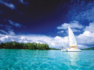 Navegar en barco por sus aguas cristalinas y bucear entre ballenas