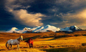 El desierto de Gobi
