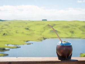 Recorrido por una plantación de yerba mate