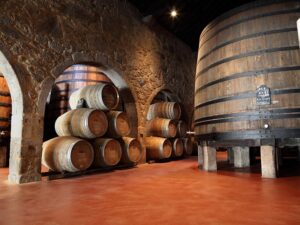 Degustación privada en las mejores bodegas