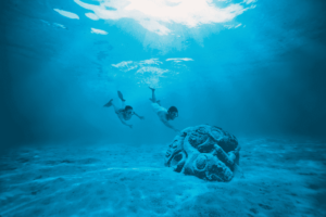 Polinesia, Nuba, Buceo