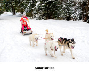 safari artico finlandia